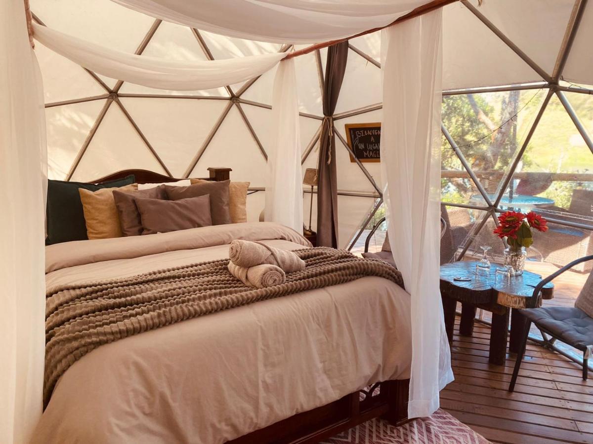 فندق Celeste Glamping غواتابيه المظهر الخارجي الصورة