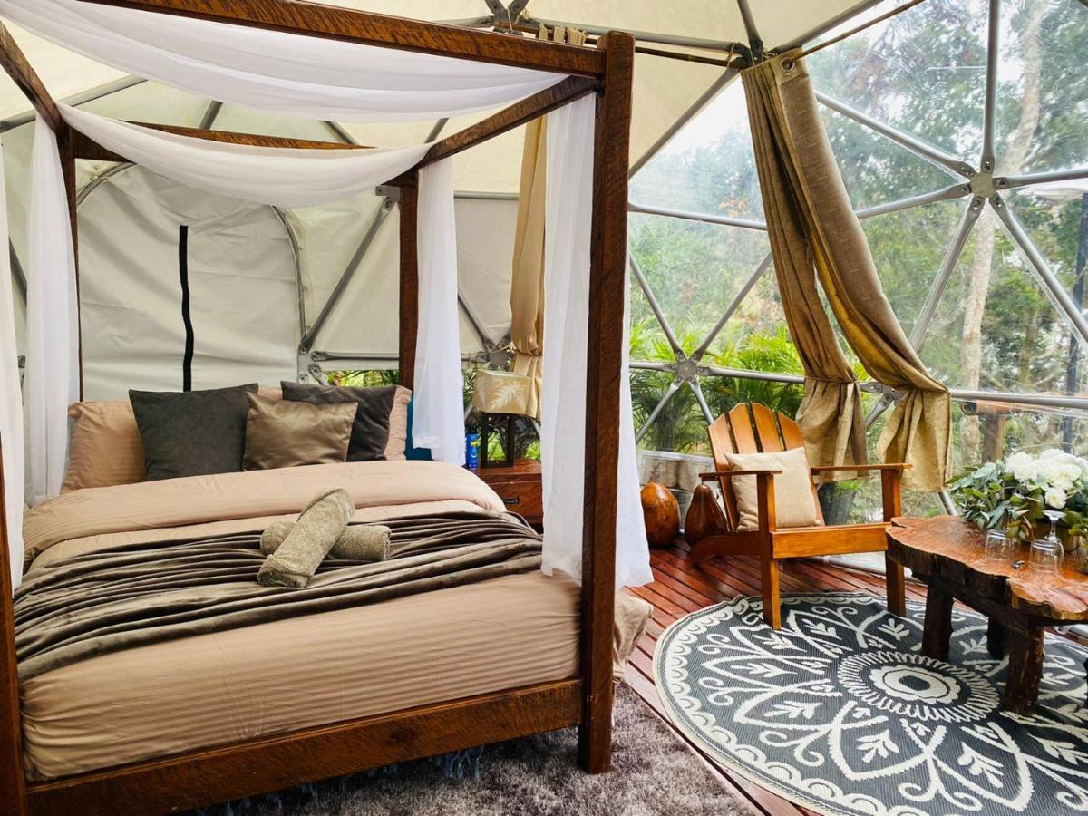 فندق Celeste Glamping غواتابيه المظهر الخارجي الصورة